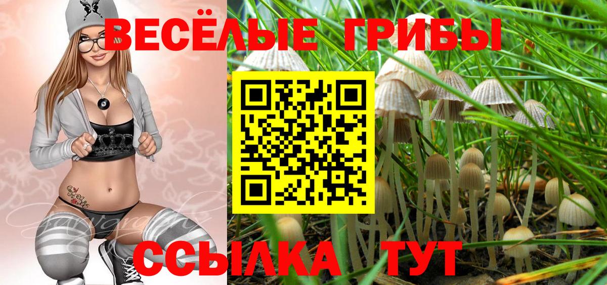 Кисловодск  Галлюциногенные грибы Psilocybe  Вход с VPN 