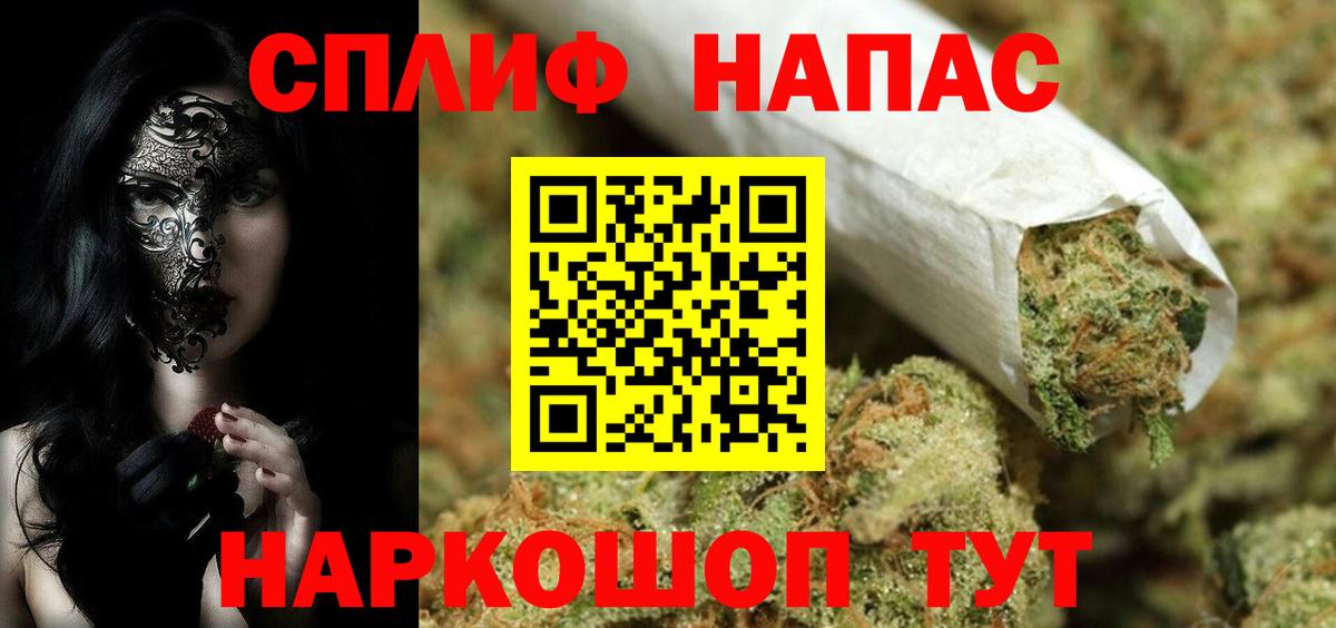 Канабис White Widow Кисловодск